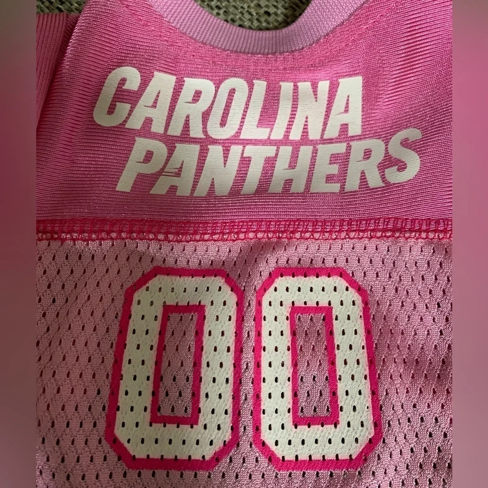 Carolina Panthers jersey extra small dog shirt